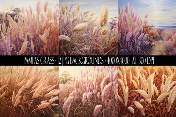 Pampas Grass Backgrounds: Natural Elegance for Every Project